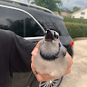 loafyvsp avatar