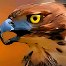 whs_matt19 avatar